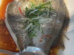 -佳丽海鲜大酒楼(环岛海景店)