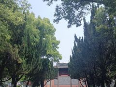 -苏州文庙(姑苏区)