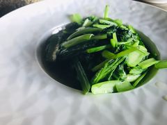 -天源渔港农庄