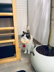 -闺蜜瑜伽·普拉提女性塑形馆