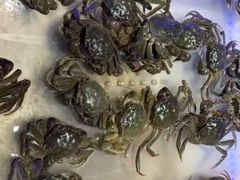 -诱货海鲜自助火锅(爱琴海购物公园东百店)