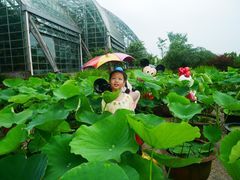 -南山植物园