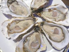 -千岛蚝高压锅生蚝·人参火锅(白云万达店)