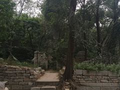 -井塘古村