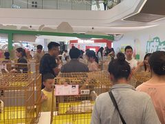 -帕帕拉兹宠物(亚洲旗舰店)