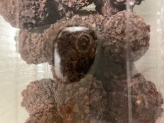 爆浆曲奇-包满意面包糕点(东坝店)