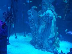 -沈阳海洋探索中心