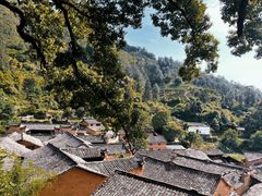 -杨家堂村