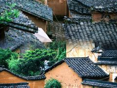 -杨家堂村