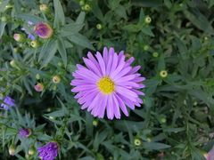 -长春公园(普阳街道)