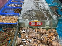 -旺角小渔村(幸福中路店)