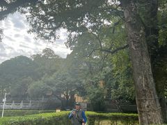 -桂林独秀峰王城景区