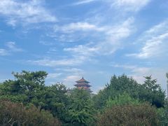 -莲花池公园