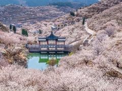 -崂山九水游览区