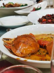 -上海雅居乐万豪侯爵酒店·宴会厅