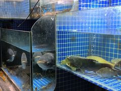 水产区-开小灶(公望街店)