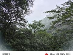 -萍乡武功山风景名胜区