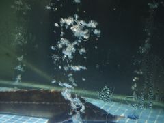 -王捌小院(红花坡店)