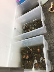 -邵老师打金·黄金加工(大望路总店)
