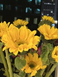 -闺蜜瑜伽·普拉提女性塑形馆