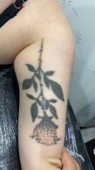 -雲艺刺青·洗纹身