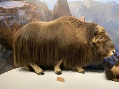 -陕西自然博物馆