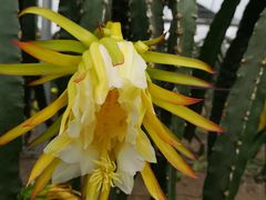 -上海多利农业发展有限公司