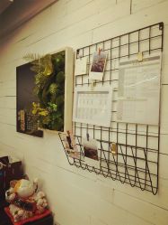 -文E范儿ZUMBA尊巴舞蹈