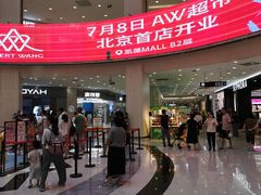 -凯德MALL(望京店)