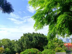 -鼓浪屿内厝澳码头(轮渡站)
