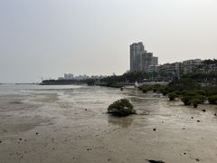 -霞山观海长廊