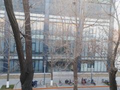 -北京师范大学邱季端体育馆