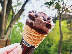 -上海佘山国家森林公园西佘山园