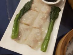 -金龙寨(龙城路店)