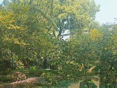 -浙江西子宾馆·瑶园咖啡厅