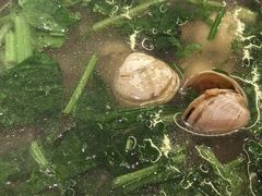 -苏大嘴蒸汽海鲜·海胆蒸饺(中山广场店)