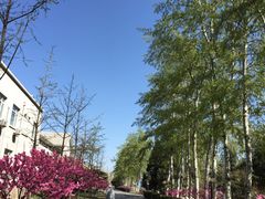 -北京小汤山医院体检中心