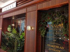 -三猫黑鱼花(南大店)