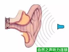 -自然之声助听器·呼吸机(翠微大厦店)