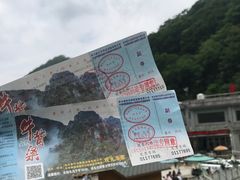 -牛背梁国家森林公园