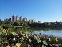 -燕郊植物园