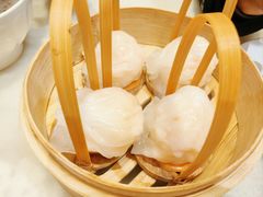 -金鼎轩(方庄店)