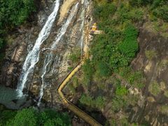 -广州白江湖森林公园