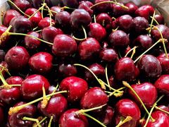 -上海龙吴水胜海发市场