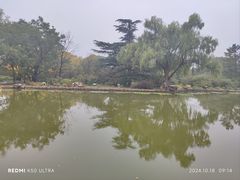 -国家植物园南园