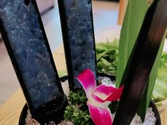-淼福猪肚鸡·椰子鸡火锅(大沙地店)