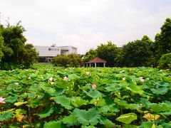 -东莞市可园博物馆