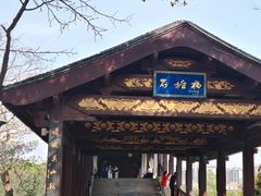 -长广溪湿地公园