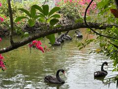 -海南热带野生动植物园