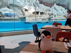 -帝企鹅自助餐厅•儿童岛•真企鹅(长隆企鹅酒店)